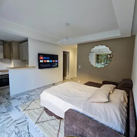 Centre De Appartamento Cannes